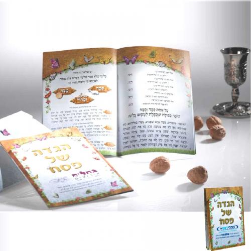 הגדה לפסח בכריכה רכה 16/24 ס"מ