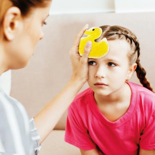כרית קרחום – דייזי